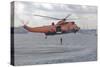 Ws-61 Sea King Helicopter of the German Navy, Kiel, Germany-null-Stretched Canvas