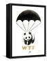 WTF-Juan Sly-Framed Stretched Canvas