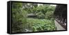 Wuhou Temple, Chengdu, Sichuan Province, China, Asia-Michael Snell-Framed Stretched Canvas