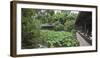 Wuhou Temple, Chengdu, Sichuan Province, China, Asia-Michael Snell-Framed Photographic Print