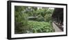 Wuhou Temple, Chengdu, Sichuan Province, China, Asia-Michael Snell-Framed Photographic Print