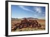 Wukoki Pueblo, Wuptaki National Monument, Arizona, USA-Jamie & Judy Wild-Framed Photographic Print