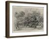 Wulff's Circus at the Crystal Palace, the Boar Hunt-Frank Dadd-Framed Giclee Print