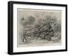 Wulff's Circus at the Crystal Palace, the Boar Hunt-Frank Dadd-Framed Giclee Print