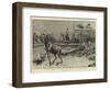 Wulff's Circus at the Crystal Palace, the Stag Hunt-S.t. Dadd-Framed Giclee Print