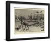 Wulff's Circus at the Crystal Palace, the Stag Hunt-S.t. Dadd-Framed Giclee Print