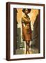 Brown Frame