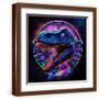 Brown Frame