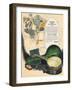 Wurlitzer Tenor Banjo-null-Framed Art Print