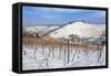 Wurttemberg Mausoleum in the Vineyards in Winter-Markus Lange-Framed Stretched Canvas