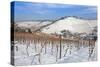 Wurttemberg Mausoleum in the Vineyards in Winter-Markus Lange-Stretched Canvas