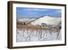 Wurttemberg Mausoleum in the Vineyards in Winter-Markus Lange-Framed Photographic Print