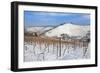 Wurttemberg Mausoleum in the Vineyards in Winter-Markus Lange-Framed Photographic Print