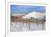 Wurttemberg Mausoleum in the Vineyards in Winter-Markus Lange-Framed Photographic Print