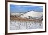 Wurttemberg Mausoleum in the Vineyards in Winter-Markus Lange-Framed Photographic Print