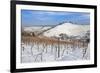 Wurttemberg Mausoleum in the Vineyards in Winter-Markus Lange-Framed Photographic Print