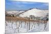 Wurttemberg Mausoleum in the Vineyards in Winter-Markus Lange-Mounted Photographic Print