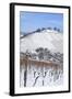 Wurttemberg Mausoleum in the Vineyards in Winter-Markus Lange-Framed Photographic Print