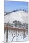 Wurttemberg Mausoleum in the Vineyards in Winter-Markus Lange-Mounted Photographic Print