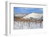 Wurttemberg Mausoleum in the Vineyards in Winter-Markus Lange-Framed Photographic Print