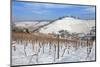 Wurttemberg Mausoleum in the Vineyards in Winter-Markus Lange-Mounted Photographic Print