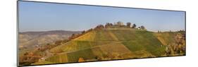 Wurttemberg Mausoleum in the Vineyards Near Stuttgart- Rotenberg-Markus Lange-Mounted Photographic Print