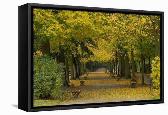 Wurzburg I-George Johnson-Framed Stretched Canvas