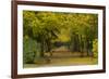 Wurzburg I-George Johnson-Framed Photographic Print