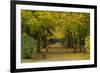 Wurzburg I-George Johnson-Framed Photographic Print