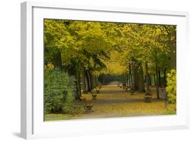 Wurzburg I-George Johnson-Framed Photographic Print