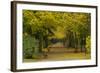 Wurzburg I-George Johnson-Framed Photographic Print