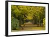 Wurzburg I-George Johnson-Framed Photographic Print