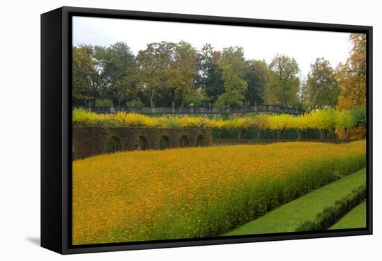 Wurzburg II-George Johnson-Framed Stretched Canvas