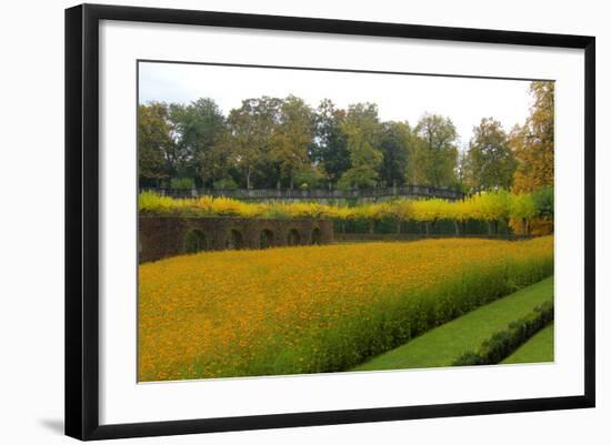 Wurzburg II-George Johnson-Framed Photographic Print