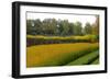 Wurzburg II-George Johnson-Framed Photographic Print