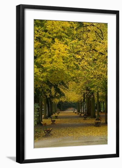 Wurzburg III-George Johnson-Framed Art Print