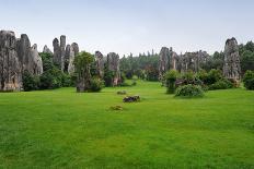 Natural Landscape of China - Stone Forest National Park-wusuowei-Photographic Print