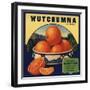 Wutchumna Brand - Lemon Cove, California - Citrus Crate Label-Lantern Press-Framed Art Print