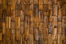 Nature Pattern Detail of Ash Wood Background-wuttichok-Photographic Print