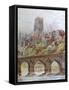 Framed Canvas