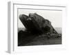 WW1 - British 'Tadpole' Tank-null-Framed Photographic Print