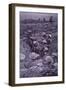 WW1 British Troops in Roughly Dug Trenches Await the Signal to Attack During Third Battle of Ypres-null-Framed Photographic Print