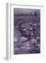 WW1 British Troops in Roughly Dug Trenches Await the Signal to Attack During Third Battle of Ypres-null-Framed Photographic Print