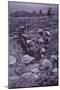 WW1 British Troops in Roughly Dug Trenches Await the Signal to Attack During Third Battle of Ypres-null-Mounted Photographic Print