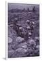 WW1 British Troops in Roughly Dug Trenches Await the Signal to Attack During Third Battle of Ypres-null-Framed Photographic Print