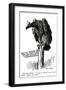 WW1 - Cartoon - as the Eagle Flies-null-Framed Art Print