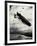 WW1 - Commodore Bigsworth Drops Bombs on Zeppelin, 1915-Donald Maxwell-Framed Art Print