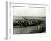 WW1 - Feisal's Army Coming into Yanbu, Saudi Arabia-null-Framed Photographic Print