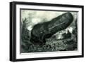 Black Frame