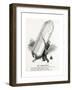 WW1 - Successful Zeppelin Raid-F^h^ Townsend-Framed Giclee Print